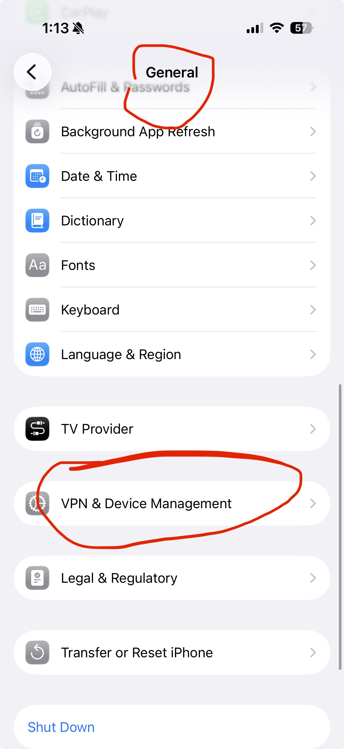 iPhone Settings showing VPN and Device Management option circled
